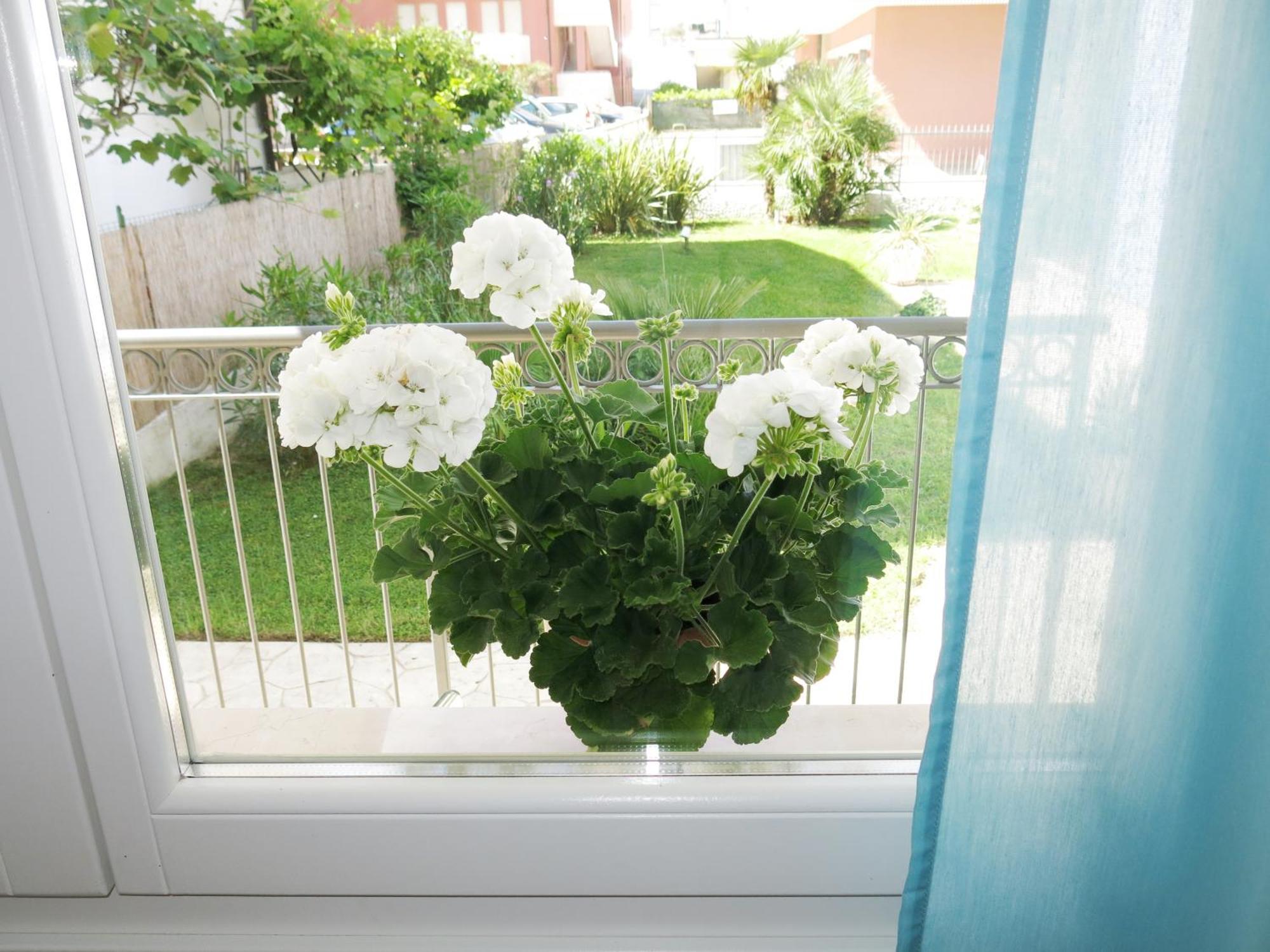 Amarein Apartment *